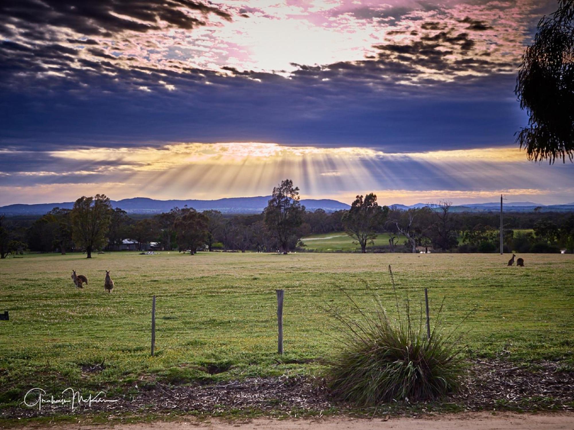 Grampians Pioneer Cottages Голлс-Гап Екстер'єр фото